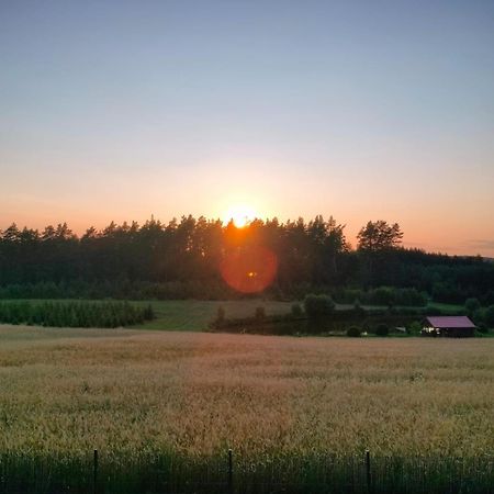 Agroturystyka U Kasi Suryty Εξωτερικό φωτογραφία