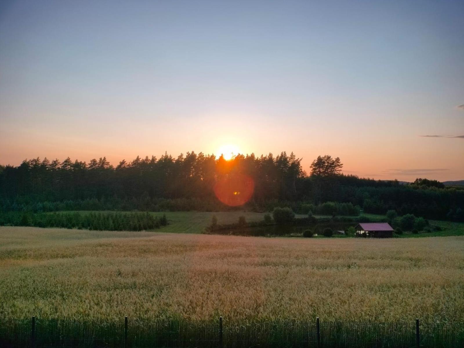 Agroturystyka U Kasi Suryty Εξωτερικό φωτογραφία