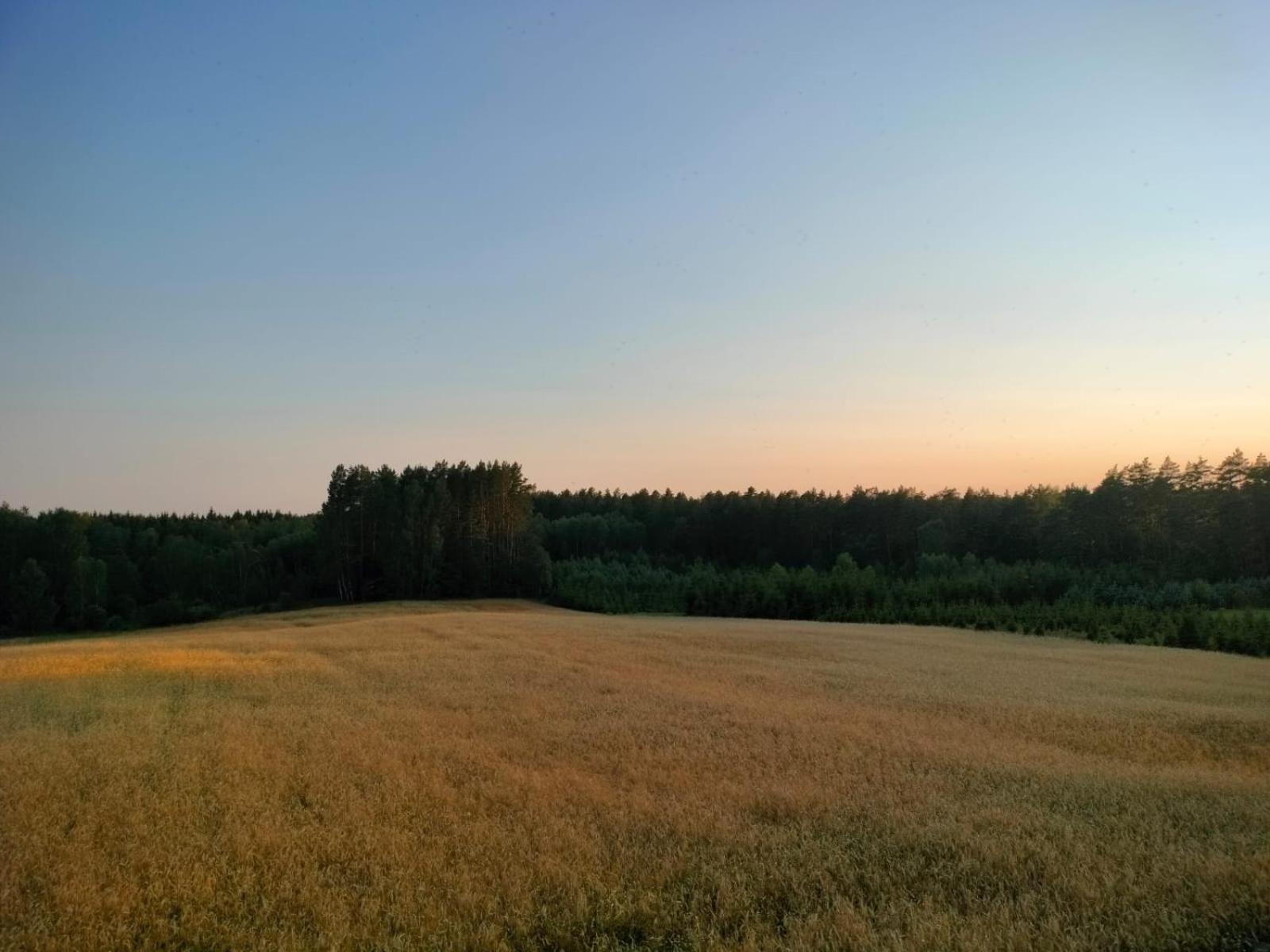 Agroturystyka U Kasi Suryty Εξωτερικό φωτογραφία